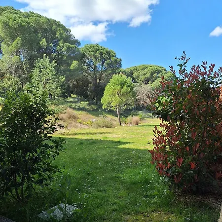 Du Pont Du Gard Apartment